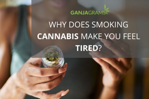 Why Does Smoking Cannabis Make You Feel Tired?