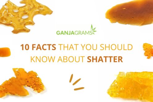 10 Facts That You Should Know About Shatter