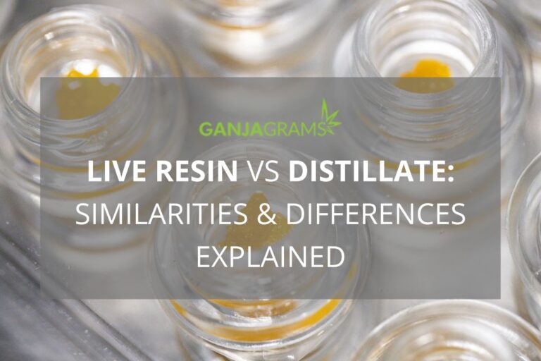 Live Resin Vs Distillate: Explained - Ganjagrams