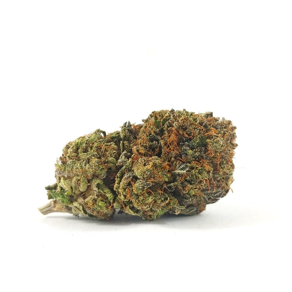 Pink Tuna (AAA+)