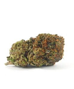 Alternative view of Black Tuna (AAA+)