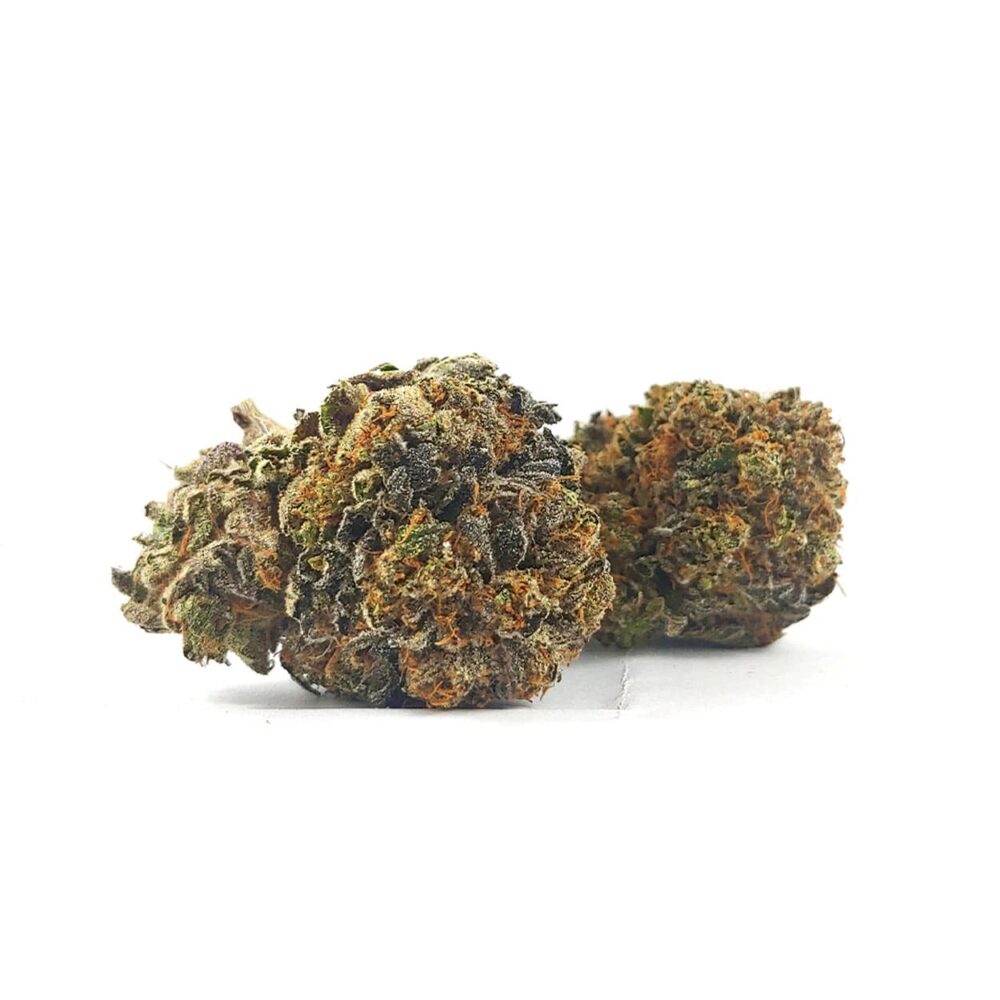 Pink Tuna (AAA+) - Image 2