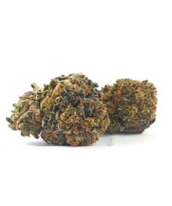 Black Tuna (AAA+)