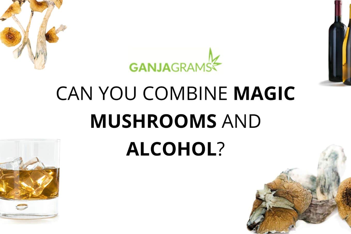 Shrooms and alcohol