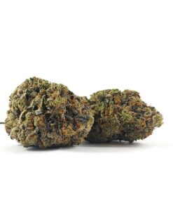 Pre-98 Bubba Kush