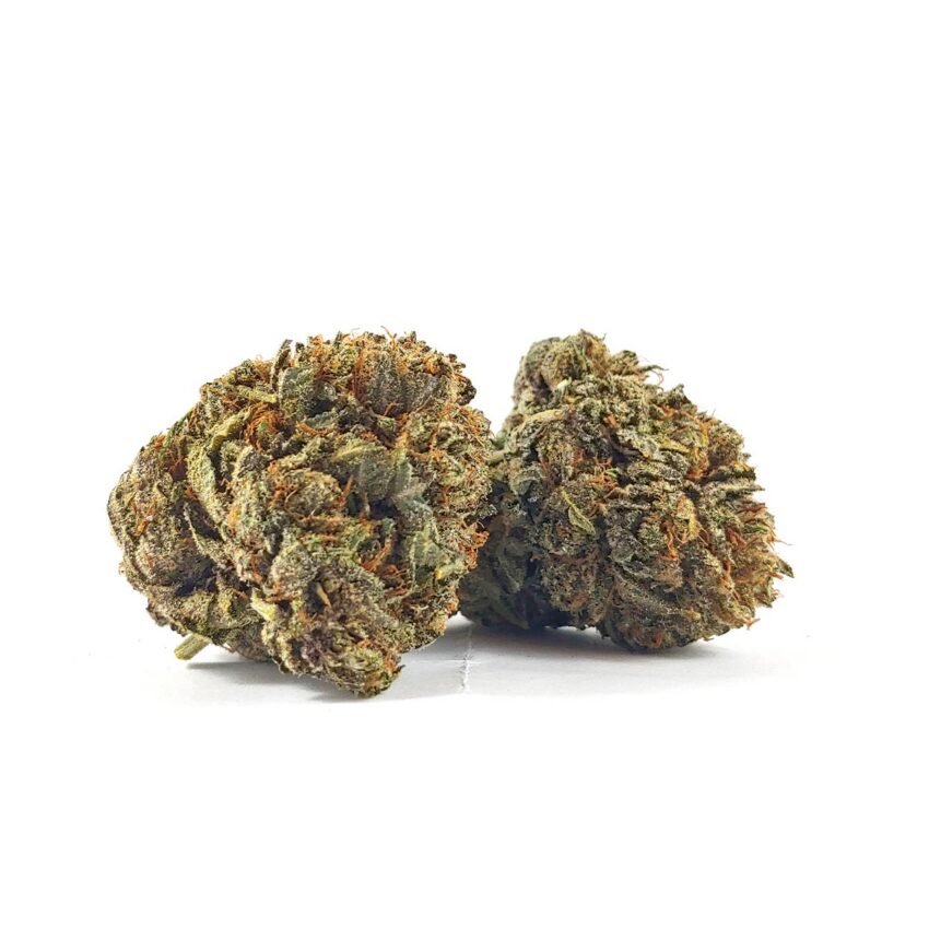 Alternative view of Purple Urkle