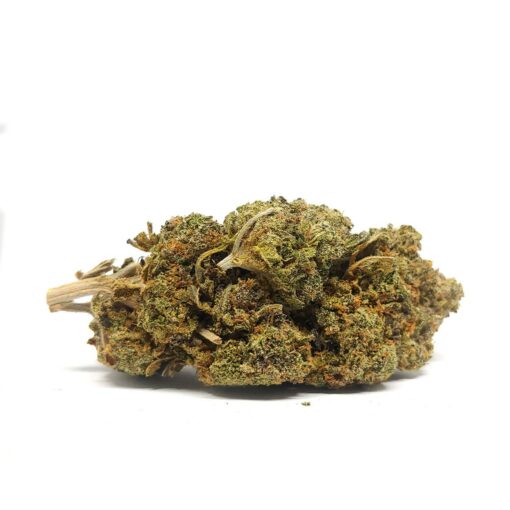 Purple Zkittles (AAA+)