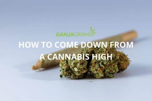 Cannabis high