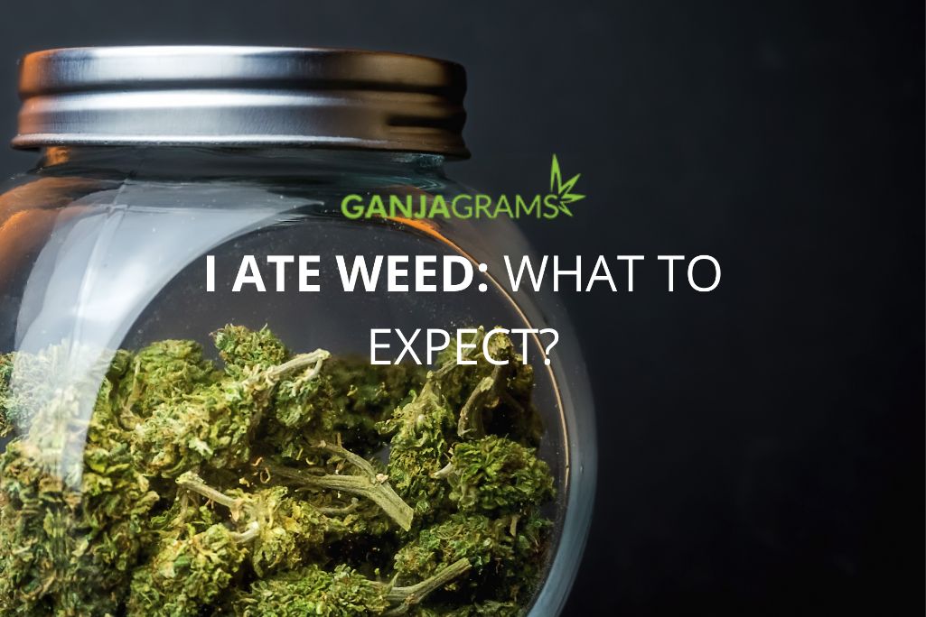 I ate weed banner