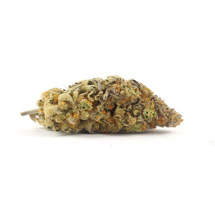 Lemon Cane