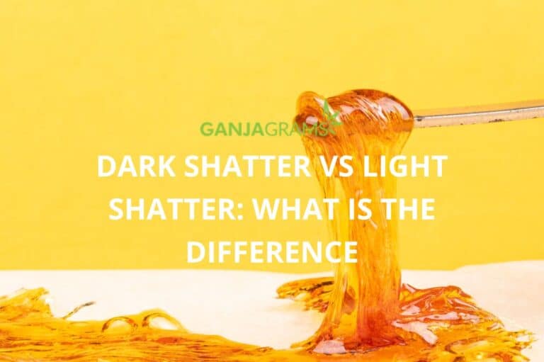 Dark Shatter vs Light Shatter What is the Difference Ganjagrams