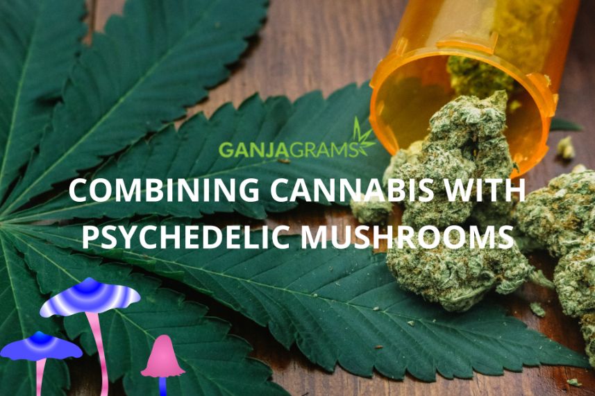 Cannabis and shrooms