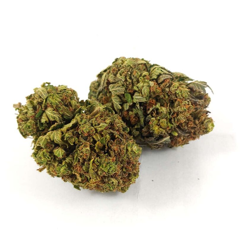 Alternative view of White Death (AAA+)