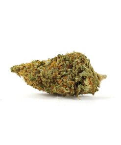 Key Lime Pie