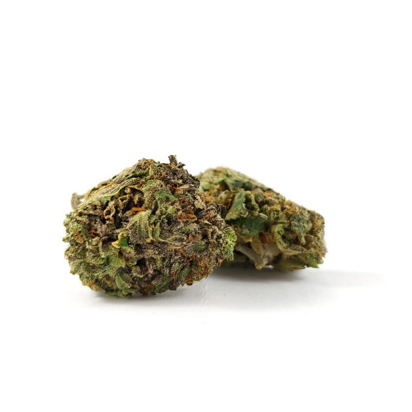 Alternative view of Mendo Breath