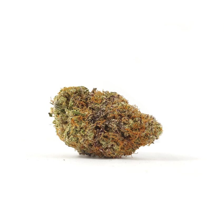 Orange Creamsicle