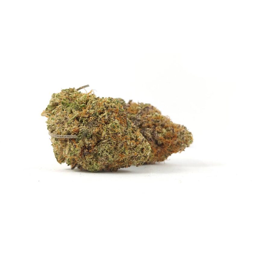 Alternative view of Orange Creamsicle