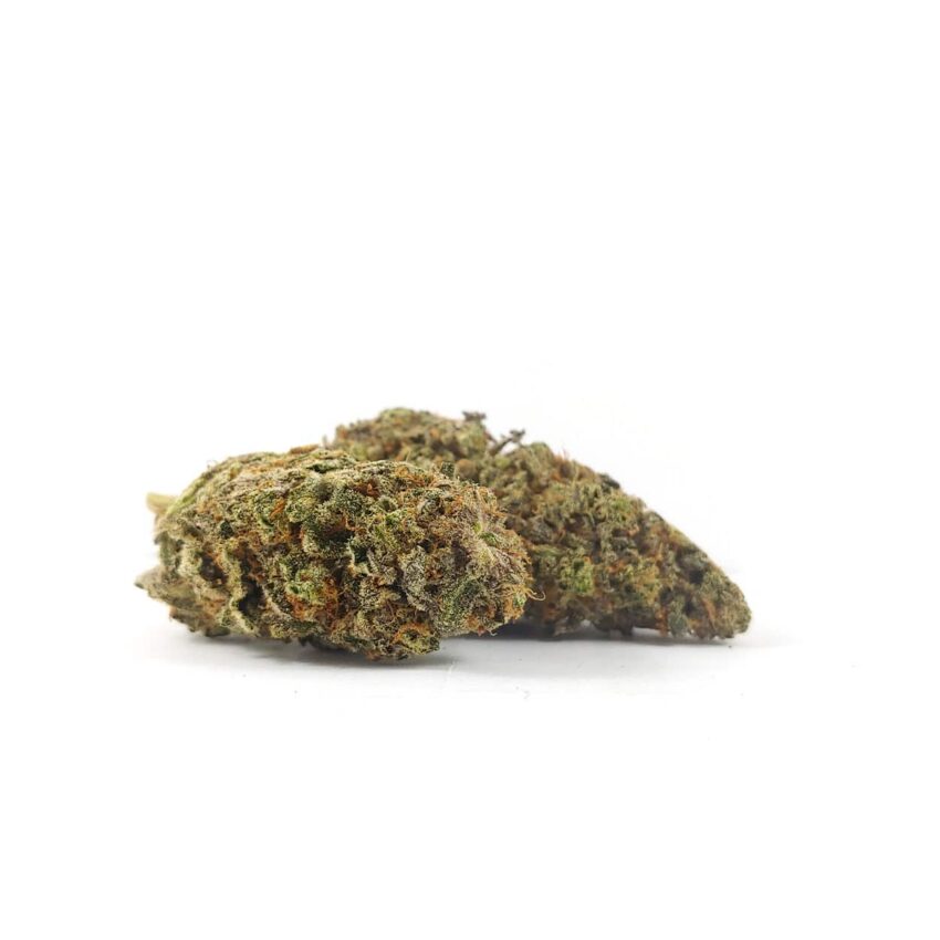 Alternative view of Purple Reign