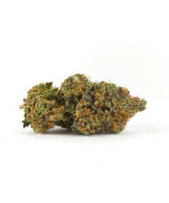 Grease Monkey (AAA)