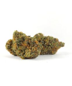Alternative view of Grease Monkey (AAA)