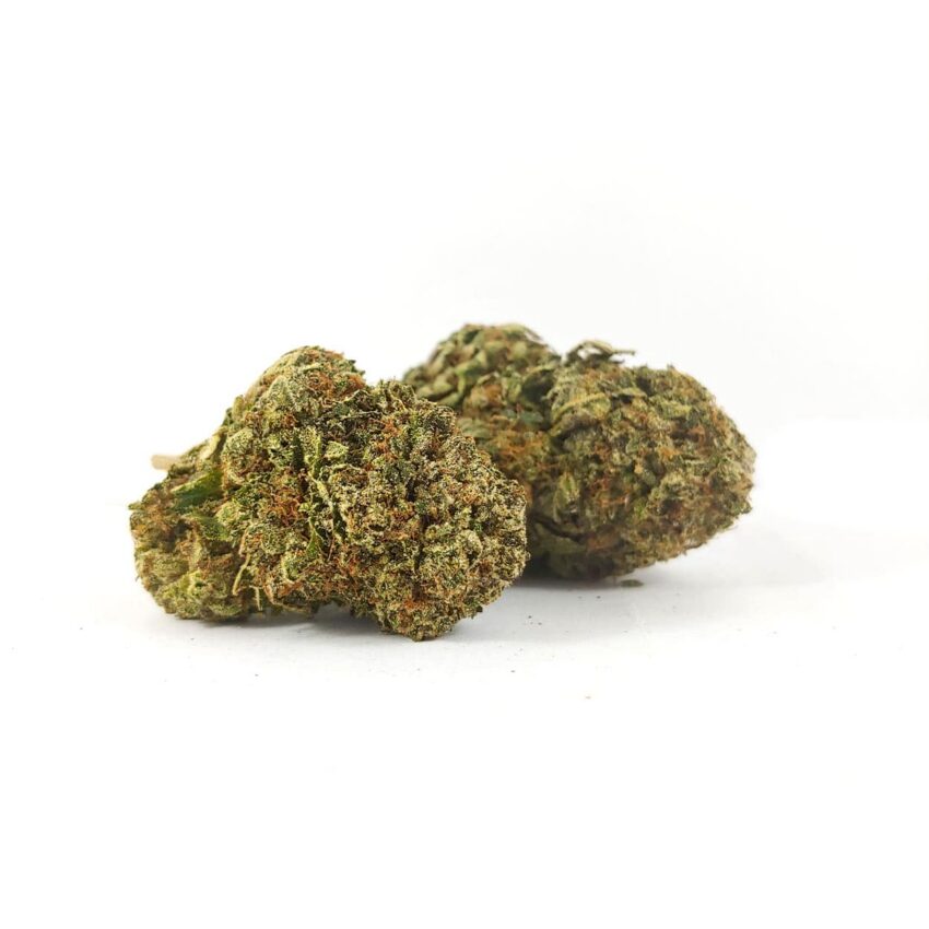 Alternative view of Jelly Breath