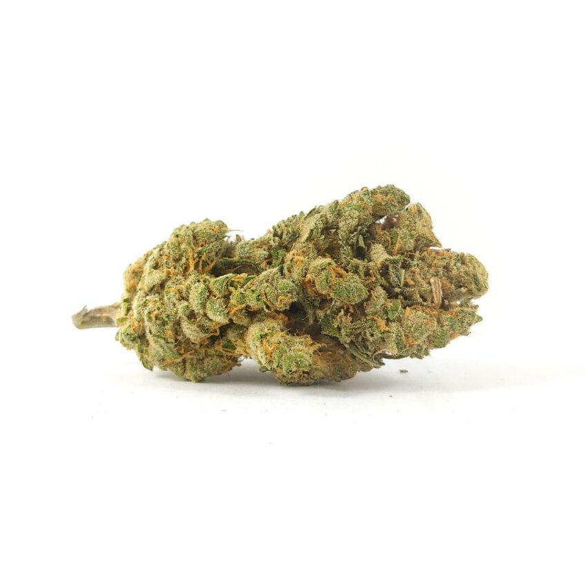 Hawaiian Mayan Gold