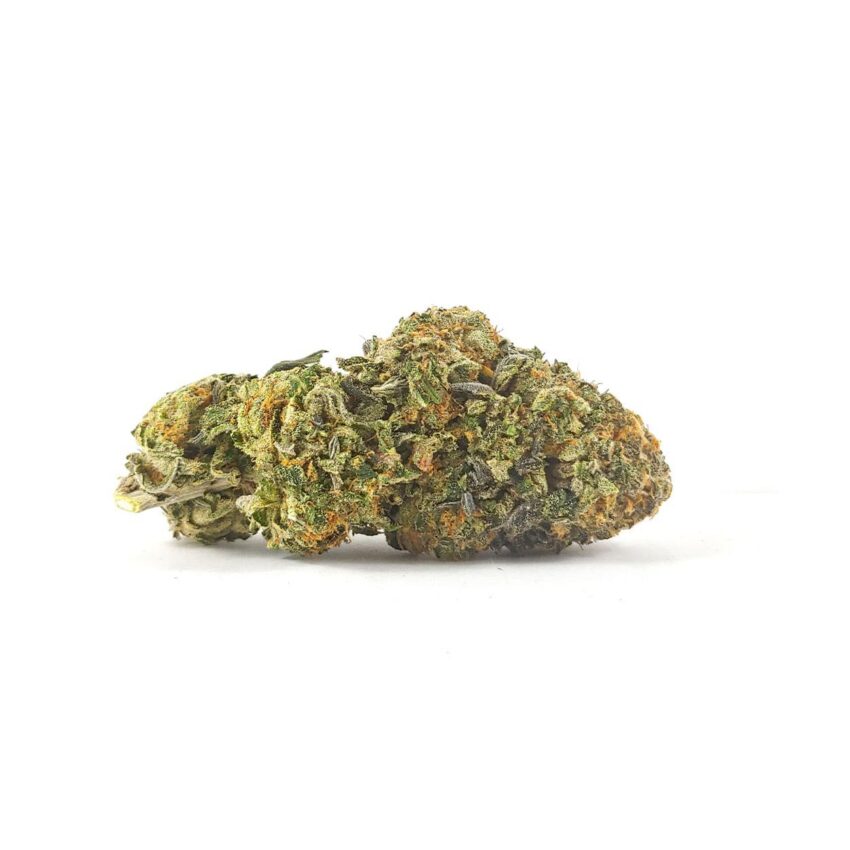 White Rhino