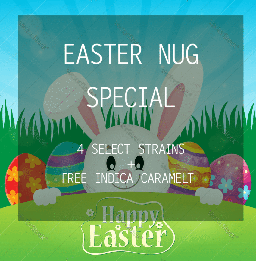 Easter Nug Special