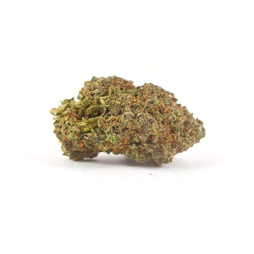 Purple Gods Gift