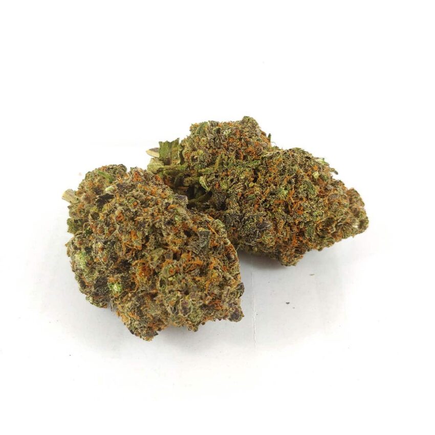 Alternative view of Purple Gods Gift
