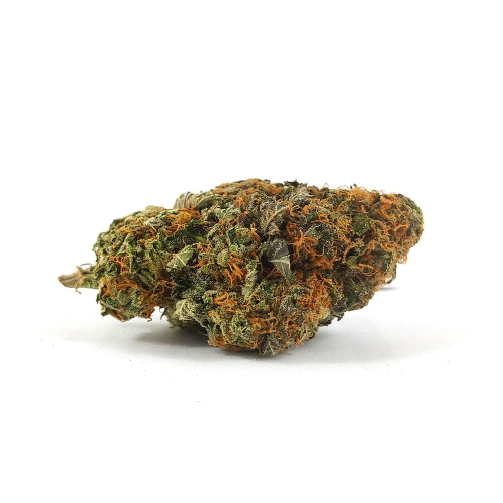 Red Congolese (AAA) - 28g