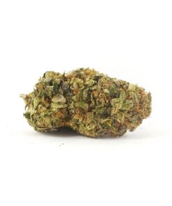 Gas Mask - 28g