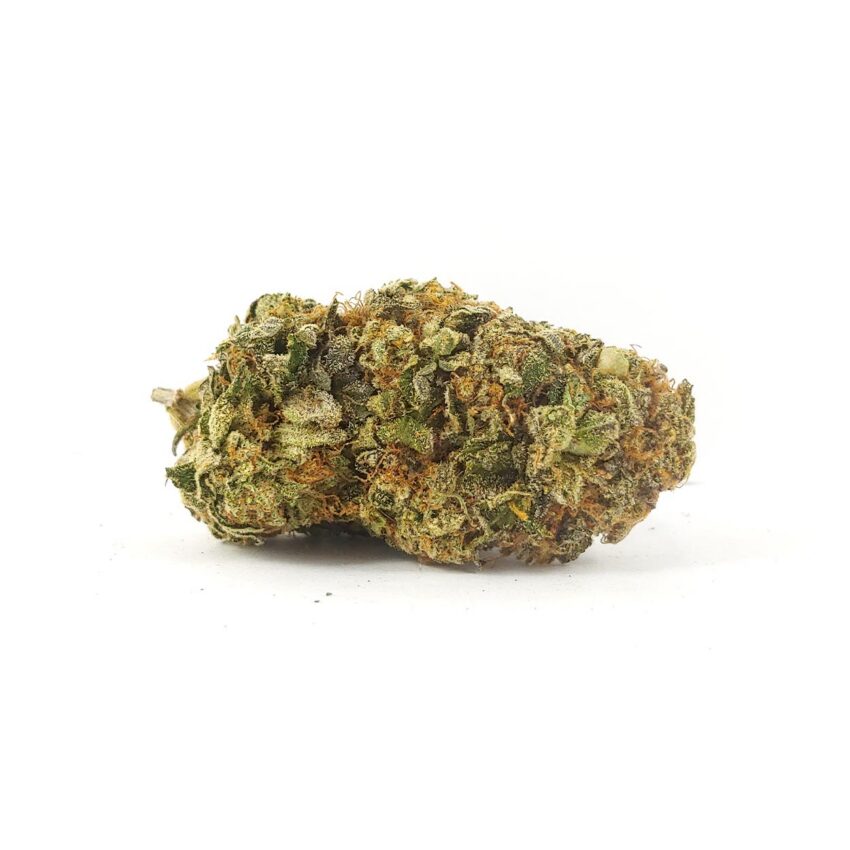 Gas Mask - 28g