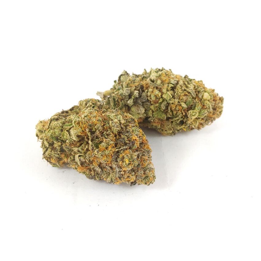 Alternative view of Gas Mask - 28g