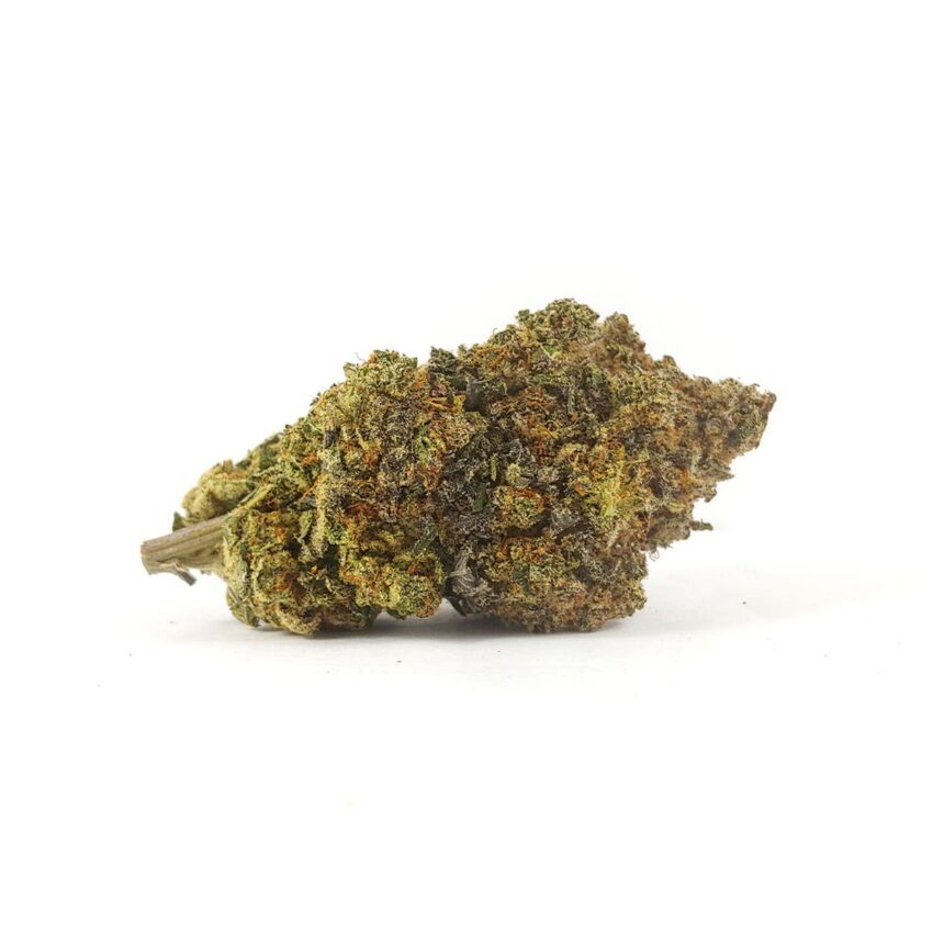 Bubblegum Gelato - 28g