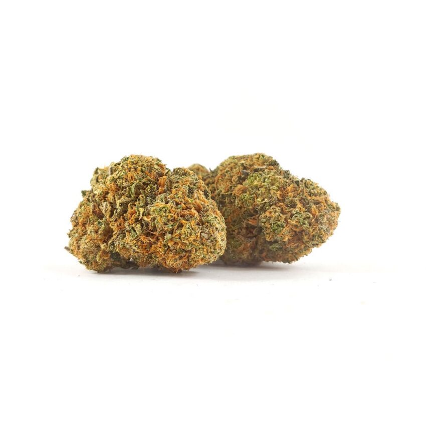 Alternative view of Elmer's Glue (AAA)