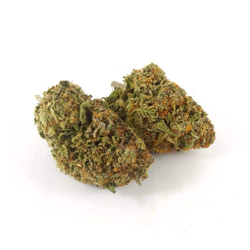 Alternative view of King Louis XIII (AAA)