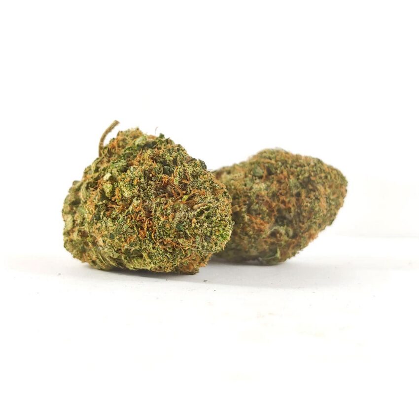 Alternative view of Pink Comatose