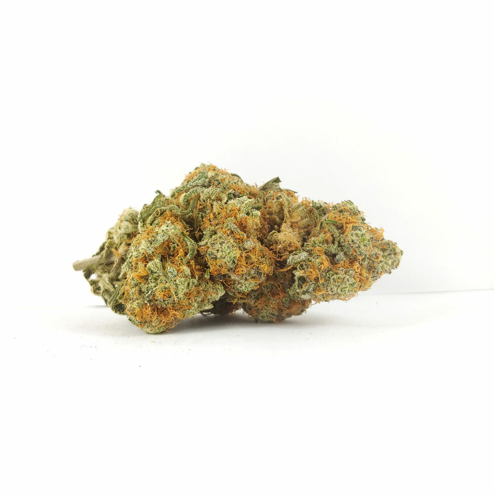 Island Sweet Skunk (AAA)