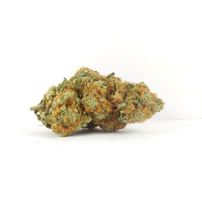 Island Sweet Skunk (AAA)