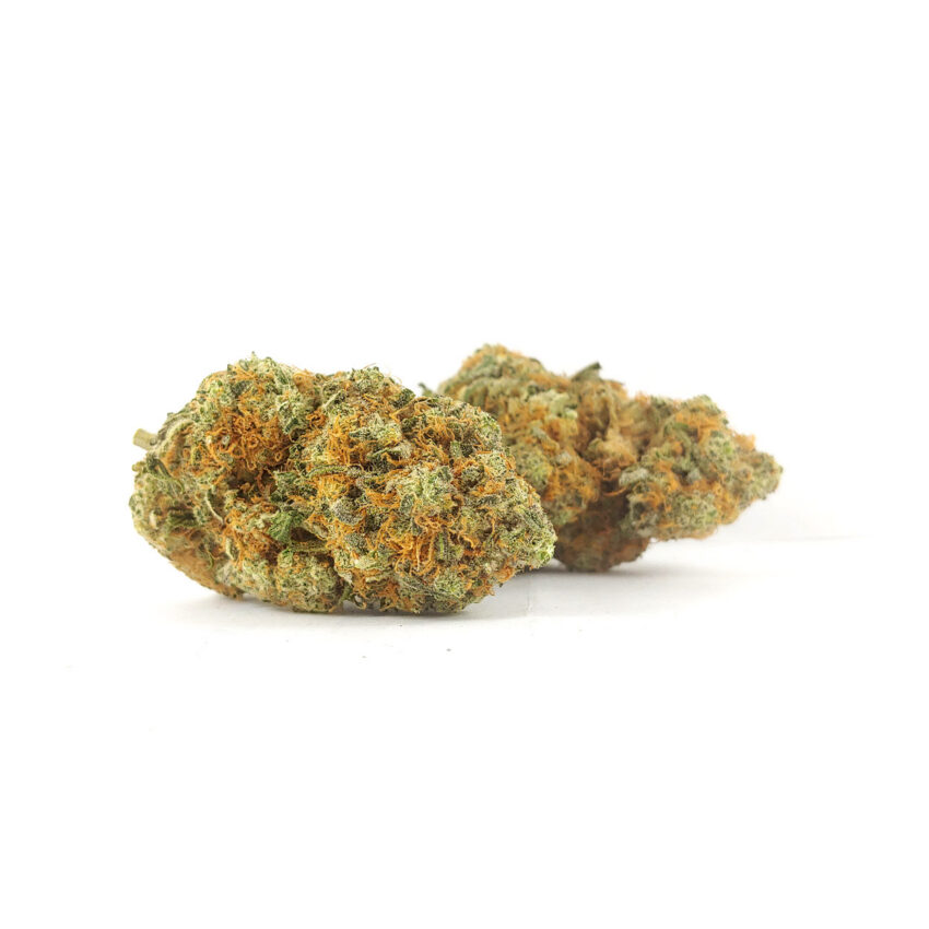 Alternative view of Island Sweet Skunk (AAA)