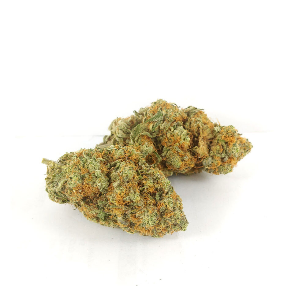 Island Sweet Skunk (AAA) - Image 3