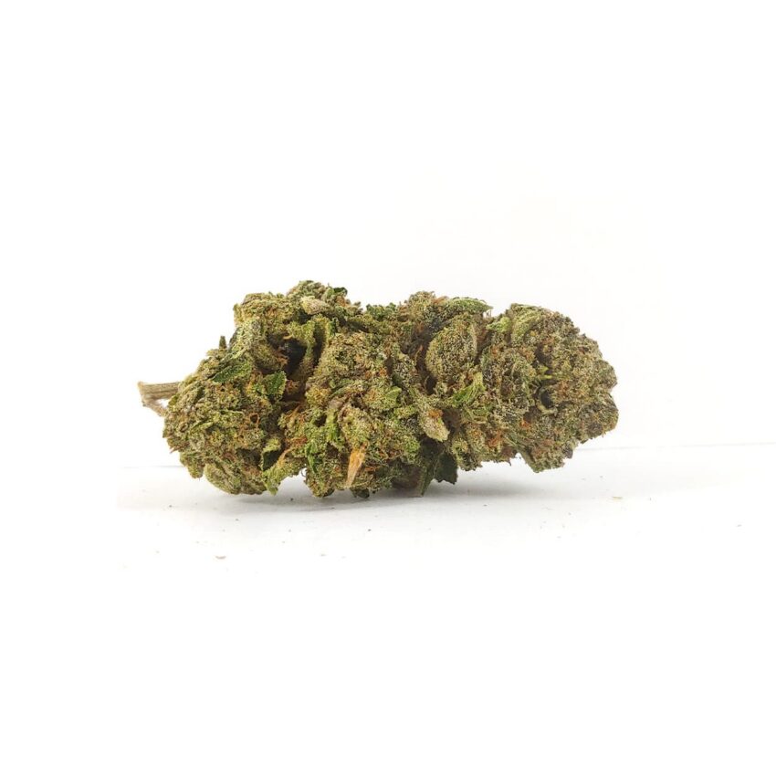 King Louis XIII (AAA)
