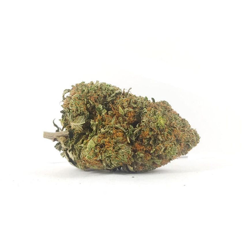 Mike Tyson OG (AAA)