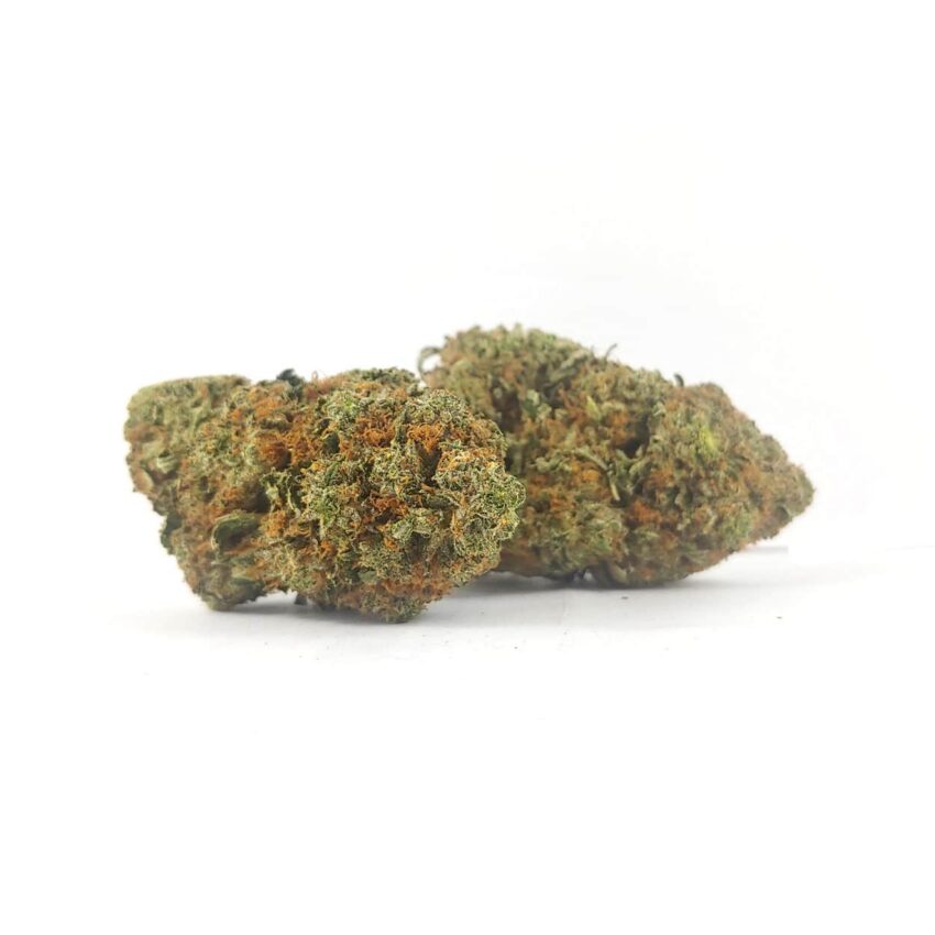 Alternative view of Mike Tyson OG (AAA)