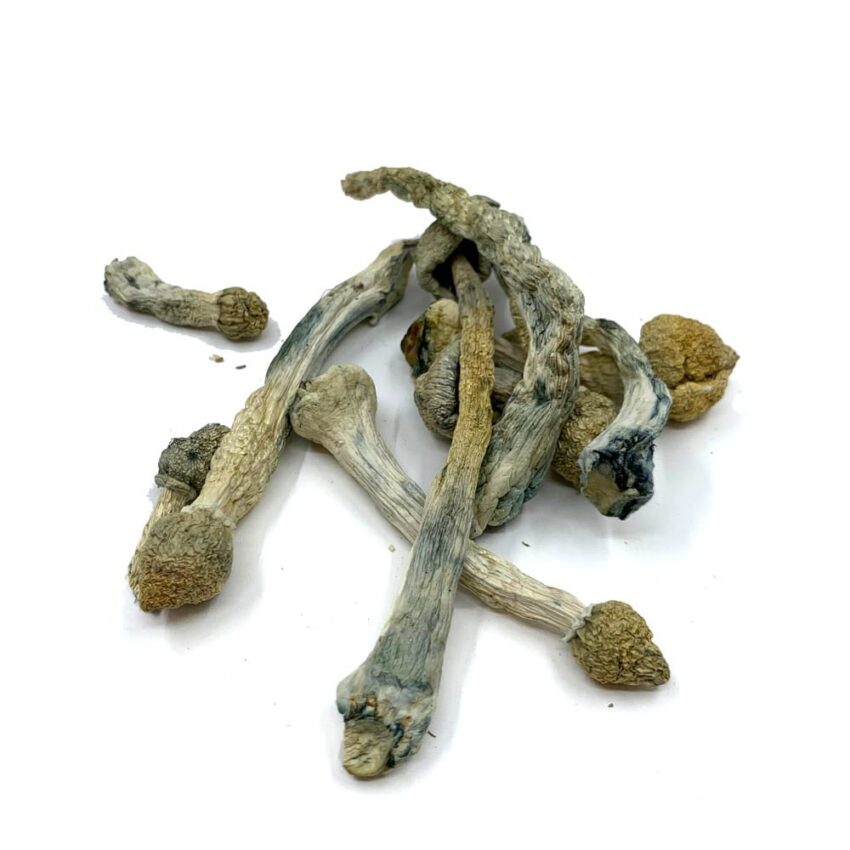 Rusty Whyte