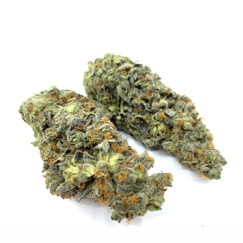 Alternative view of Grape Crush (AAA)