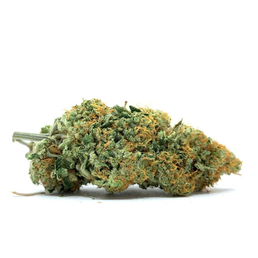 King Tut