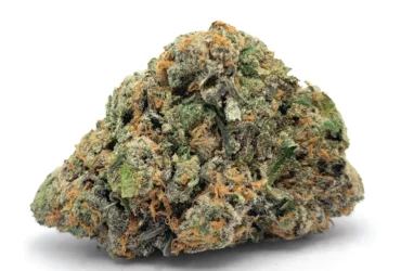 blue gelato nug