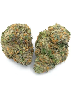 blue gelato nugs